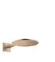 AXOR-HG-AXOR-ShowerSolutions-Kopfbrause-300-2jet-mit-Brausearm-Brushed-Red-Gold-35303310 gallery number 1
